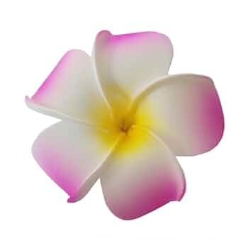 Amazon.co.jp: 髪飾り 花 10個 髪飾り ハイビスカス プルメリア
